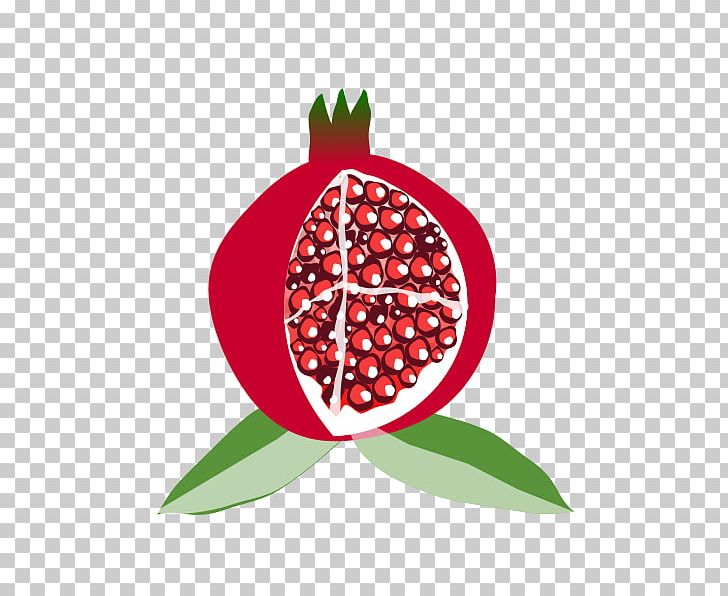 Pomegranate Juice Fruit PNG, Clipart, Berry, Cherry, Circle, Food, Fruit Free PNG Download