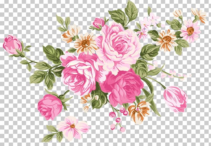 Beach Rose Flower Still Life: Pink Roses Color PNG, Clipart, Beach Rose, Blossom, Branch, Color, Cut Flowers Free PNG Download