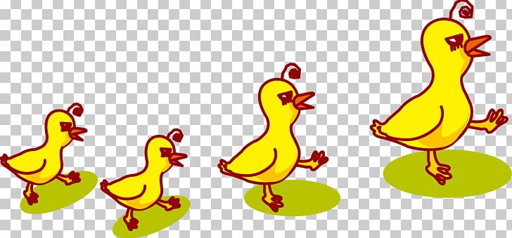 Duck Chicken Rooster PNG, Clipart, Animals, Bird, Cartoon, Chicken, Creative Ads Free PNG Download