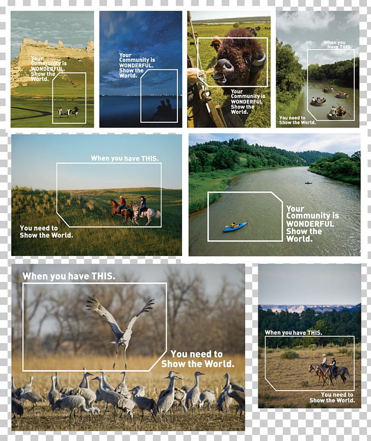 Ecoregion Landscape Fauna National Park Advertising PNG, Clipart, Advertising, Brand, Brochure, Ecoregion, Ecosystem Free PNG Download