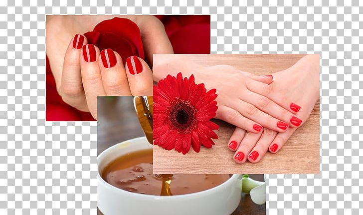 Nail Manicure PNG, Clipart, Finger, Flower, Hand, Manicure, Nail Free PNG Download