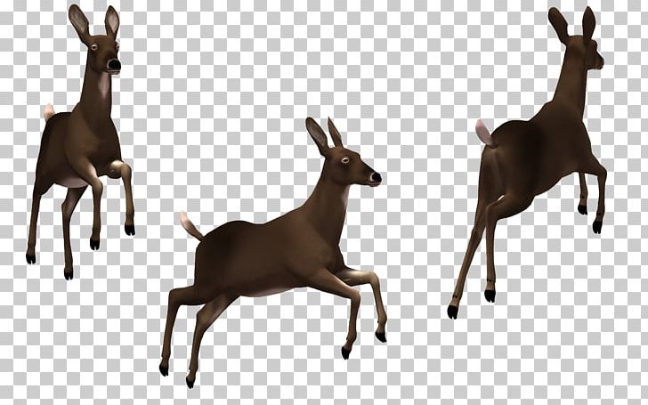 Deer Horse Mule PNG, Clipart, Animals, Antelope, Balloon Cartoon, Camera Icon, Cartoon Free PNG Download