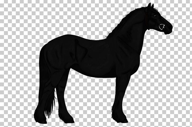 Pottok Hackney Pony Shetland Pony Appaloosa PNG, Clipart, Animal, Animal Figure, Appaloosa, Equestrian, Hackney Pony Free PNG Download
