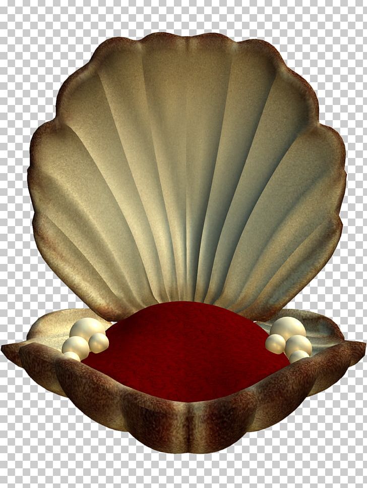 Seashell PNG, Clipart, Animals, Beach, Bowl, Computer Icons, Deep Sea Free PNG Download