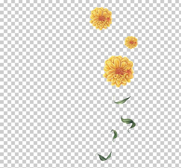 Wedding Invitation Evite Flower Floral Design PNG, Clipart, Calendula, Chrysanths, Common Sunflower, Convite, Cut Flowers Free PNG Download