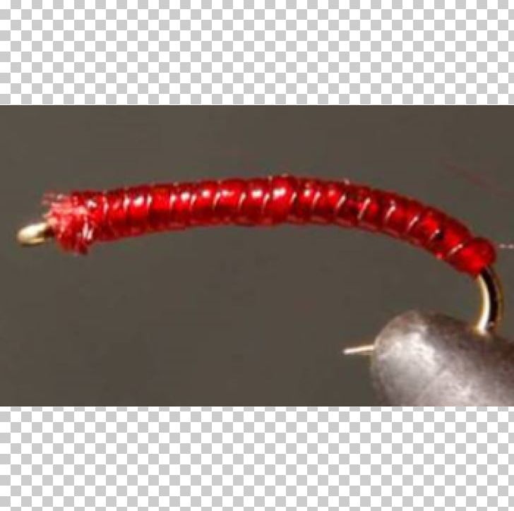 Worm PNG, Clipart, Bass Worms, Others, Red, Worm Free PNG Download