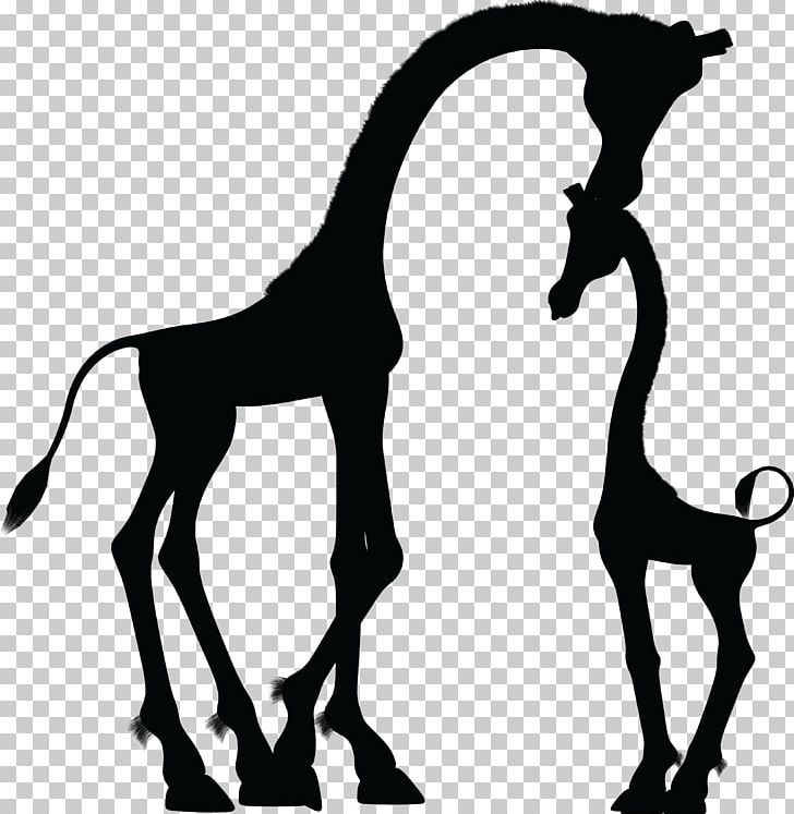 Baby Giraffes Silhouette PNG, Clipart, Animals, Baby Giraffes, Black And White, Child, Colt Free PNG Download