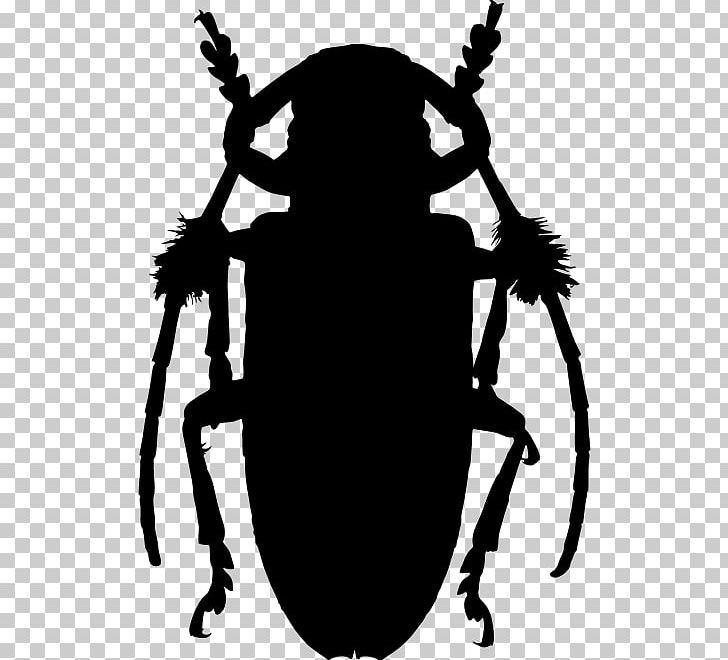 Beetle Aristobia Approximator Lamiinae PNG, Clipart, Animals, Antenna, Artwork, Beetle, Beetle Insect Free PNG Download