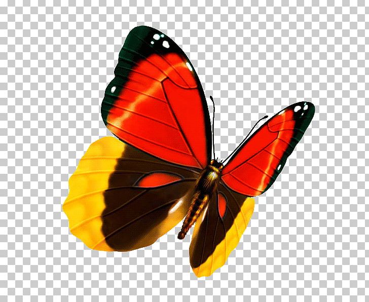 Butterfly Q-Constellation Lianliankan PNG, Clipart, Android, Animation, Arthropod, Brush Footed Butterfly, Butterflies Free PNG Download