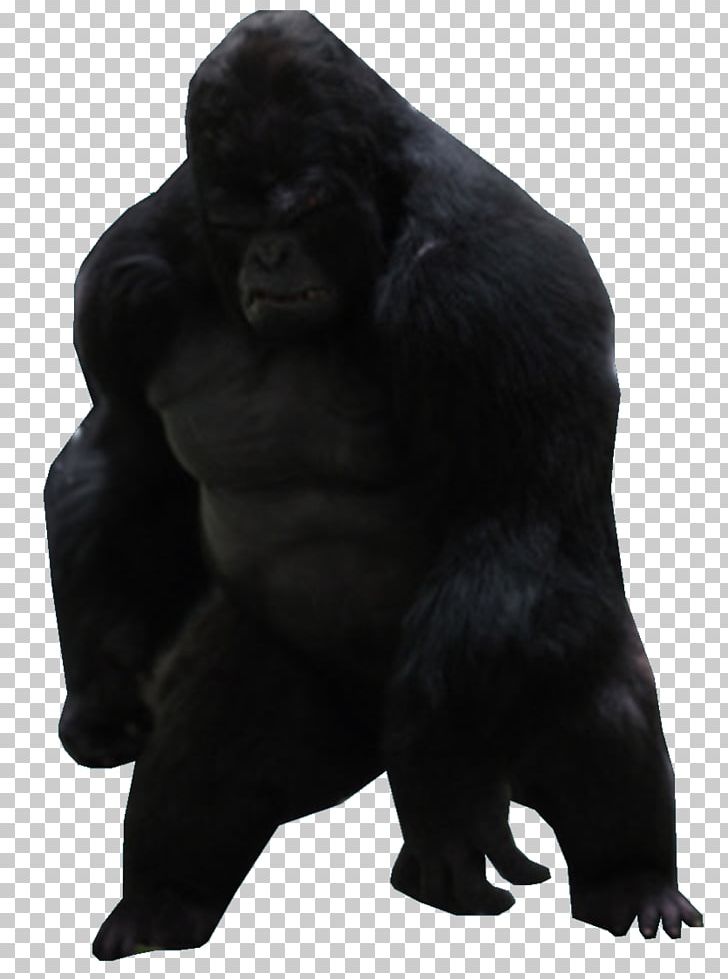 Gorilla Grodd Western Gorilla Common Chimpanzee Ape Killer Frost PNG, Clipart, Ape, Chimpanzee, Comic, Common Chimpanzee, Darkseid Free PNG Download