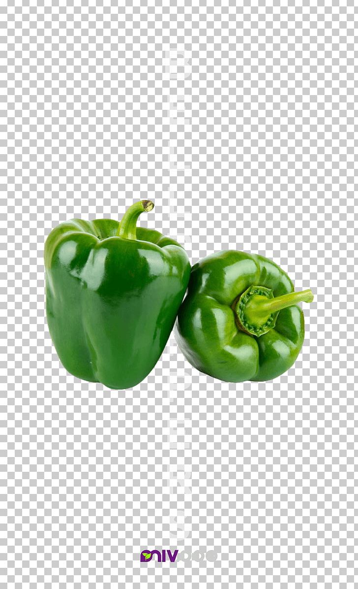 Organic Food Vegetable Grocery Store Peppers PNG, Clipart, Bell Pepper, Bell Peppers And Chili Peppers, Capsicum, Chili Pepper, Food Free PNG Download
