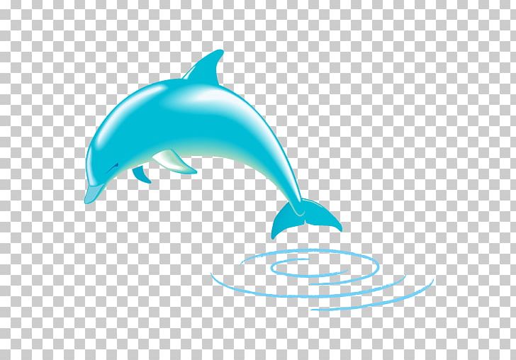 Dolphin PNG, Clipart, Android, Android Pc, Animals, App, Aqua Free PNG Download