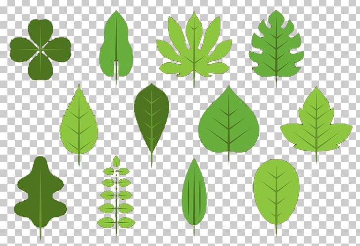 Four-leaf Clover PNG, Clipart, Autumn Leaf, Clover, Designer, Download, Emerald Free PNG Download