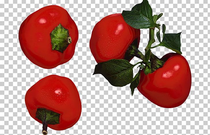 Capsicum Annuum Vegetable Food Fruit Chili Pepper PNG, Clipart, Bell Pepper, Cayenne Pepper, Chili Pepper, Cooking, Food Free PNG Download