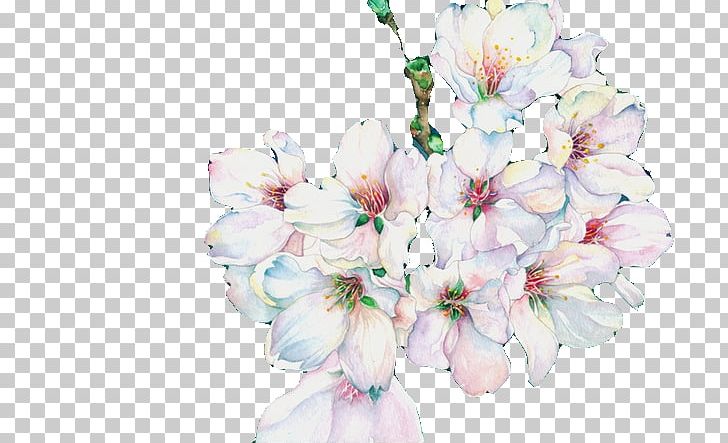 Cherry Blossom Floral Design PNG, Clipart, Artificial Flower, Branch, Cherries, Cherry, Cherry Flower Free PNG Download