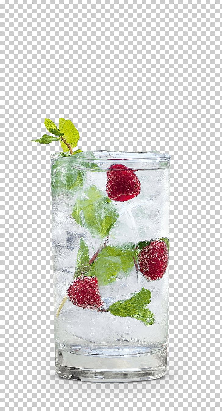 Gin And Tonic Vodka Tonic Schnapps Cocktail Garnish PNG, Clipart, Alcoholic Drink, Cocktail, Cocktail Garnish, Dem, Drink Free PNG Download