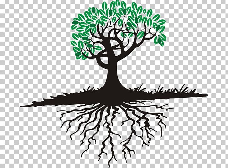 Tree Root PNG, Clipart, Artwork, Black And White, Branch, Flora, Flower Free PNG Download