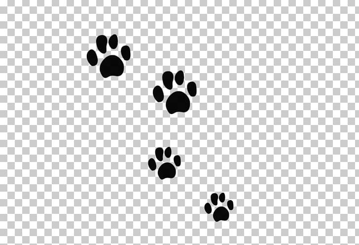 Paw Maine Coon Veterinarian PNG, Clipart, Animals, Animal Track, Black, Black And White, Carnivoran Free PNG Download