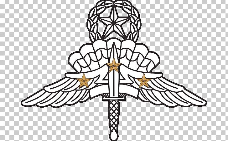 United States Army Airborne School Military Freefall Parachutist Badge Badges Of The United States Army PNG, Clipart, Angle, Army, Badge, Combat Action Badge, Combat Infantryman Badge Free PNG Download