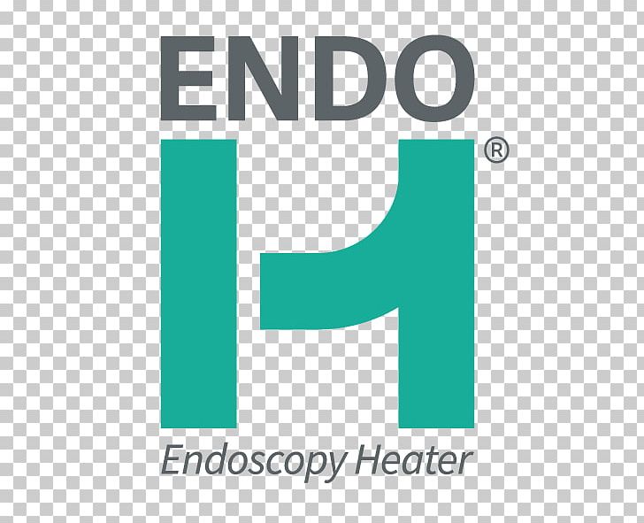 East Cobb Premier Dental Dentistry Information Endoscopia Digestiva Endodontic Therapy PNG, Clipart, Angle, Area, Blue, Brand, Cosmetic Dentistry Free PNG Download