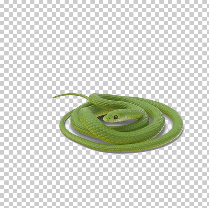 Snake Vipers PNG, Clipart, Animals, Background Green, Circle, Coil, Crawling Free PNG Download