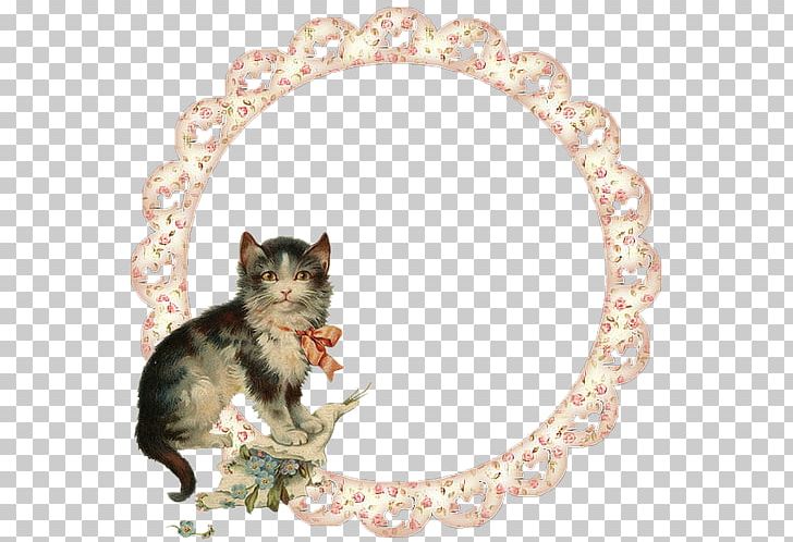 Whiskers Cat Kitten Mouse PNG, Clipart, Animal, Animals, Canidae, Carnivoran, Cat Free PNG Download
