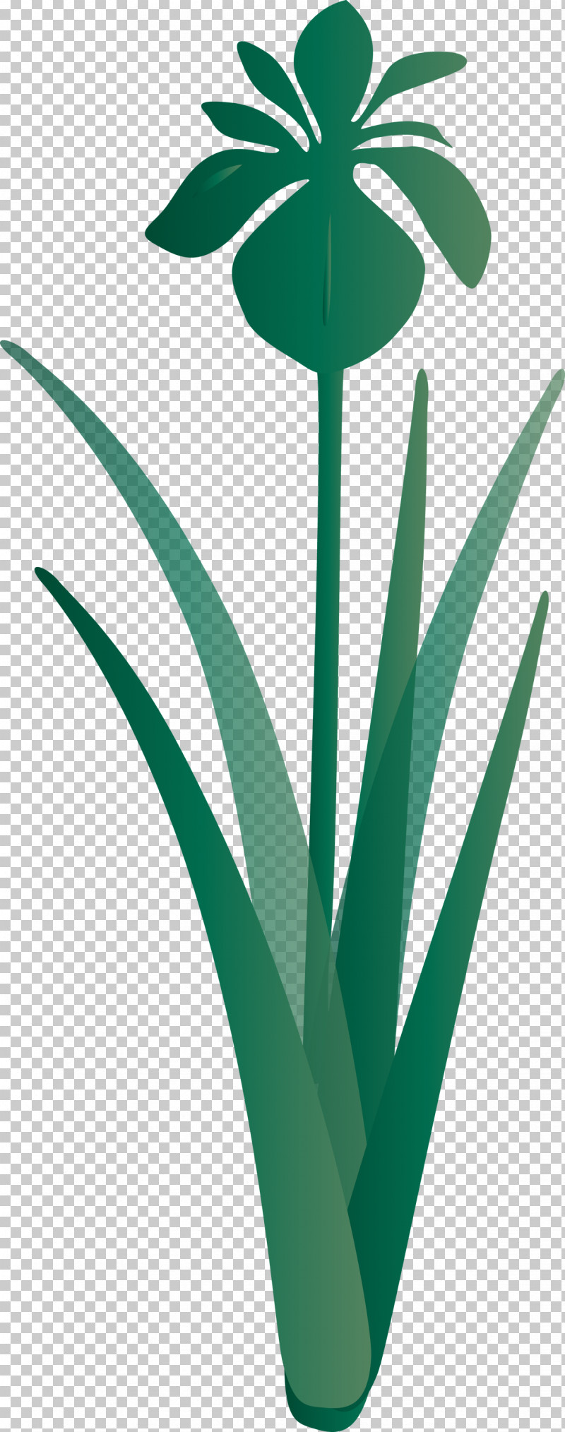 Iris Flower Spring Flower PNG, Clipart, Flower, Grass, Green, Houseplant, Iris Flower Free PNG Download