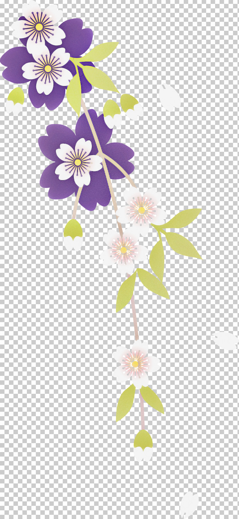 Cherry Flower PNG, Clipart, Cherry Flower, Flower, Petal, Plant, Wildflower Free PNG Download