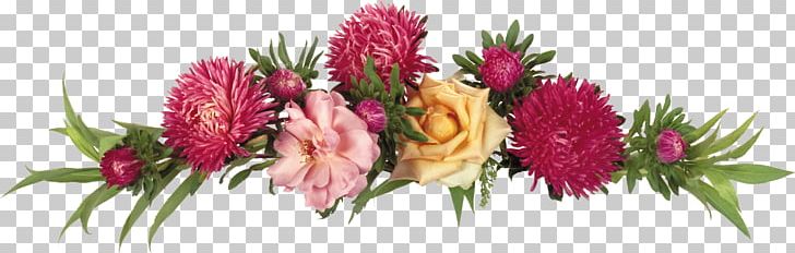 Flower Color PNG, Clipart, Amaranth Family, Aquarium Decor, Bud, Color, Cut Flowers Free PNG Download