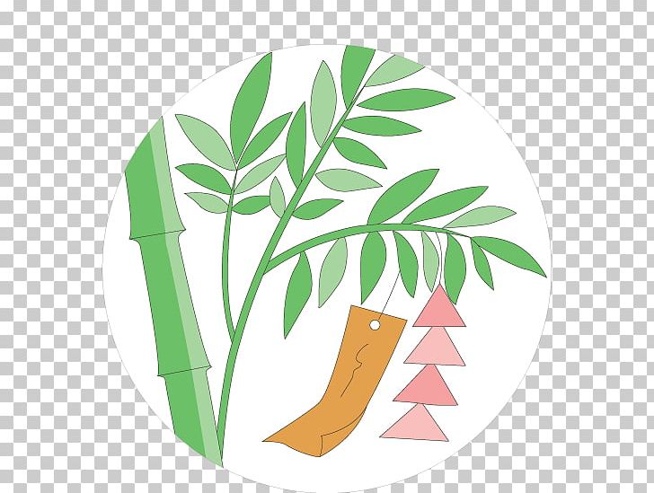 Leaf Plant Stem Shoe PNG, Clipart, Area, Flora, Flower, Grass, Green Free PNG Download