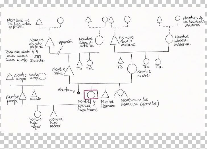 Family Tree Genealogy Genogram Family Constellations PNG, Clipart, Angle, Arbol, Area, Diagram, Divorce Free PNG Download