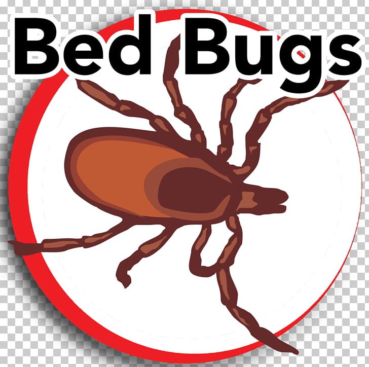 Insect Pest Bed Bug PNG, Clipart, Animal, Animals, Arthropod, Artwork, Bed Free PNG Download