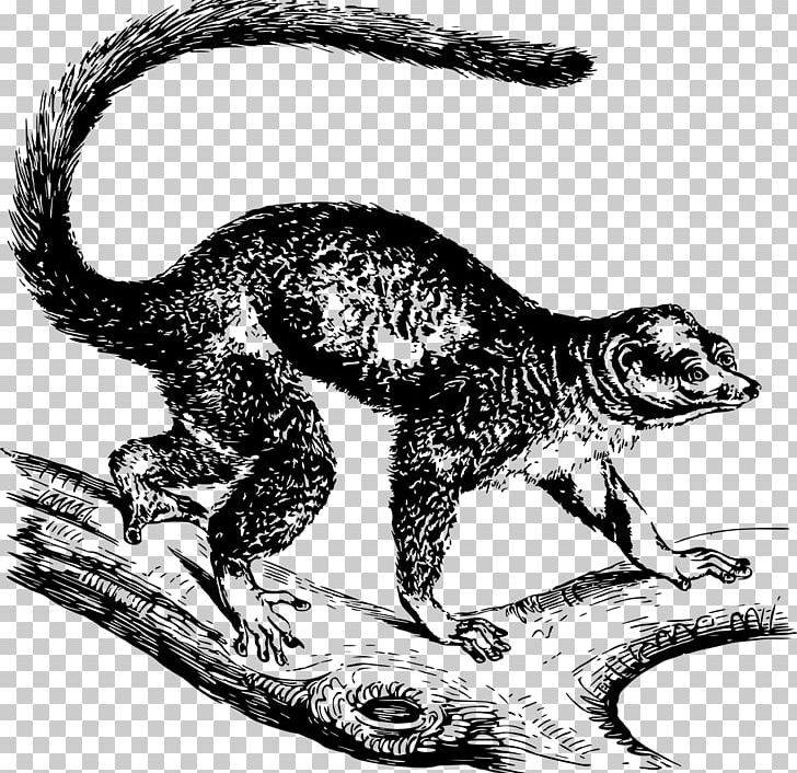 Velociraptor Drawing Lemurs Mongoose PNG, Clipart, Black And White, Carnivoran, Din, Drawing, Encapsulated Postscript Free PNG Download