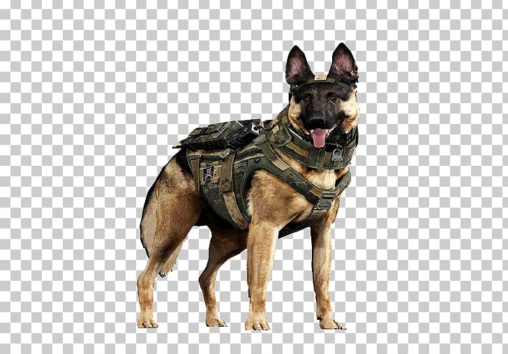 Call Of Duty: Ghosts German Shepherd Malinois Dog Labrador Retriever Call Of Duty: Black Ops III PNG, Clipart, Call Of Duty, Carnivoran, Dog Breed, Dog Breed Group, Dog Like Mammal Free PNG Download