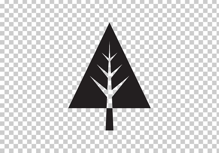 Computer Icons Pine Christmas PNG, Clipart, Angle, Black And White, Christmas, Computer Icons, Download Free PNG Download