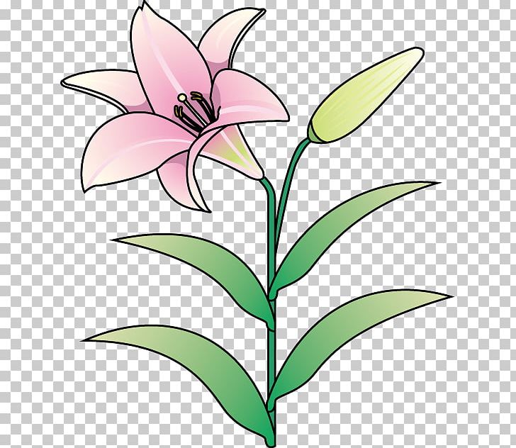 Floral Design Lilium Cut Flowers Plant Stem PNG, Clipart, Artwork, Blomsterbutikk, Cut Flowers, Flora, Floral Design Free PNG Download