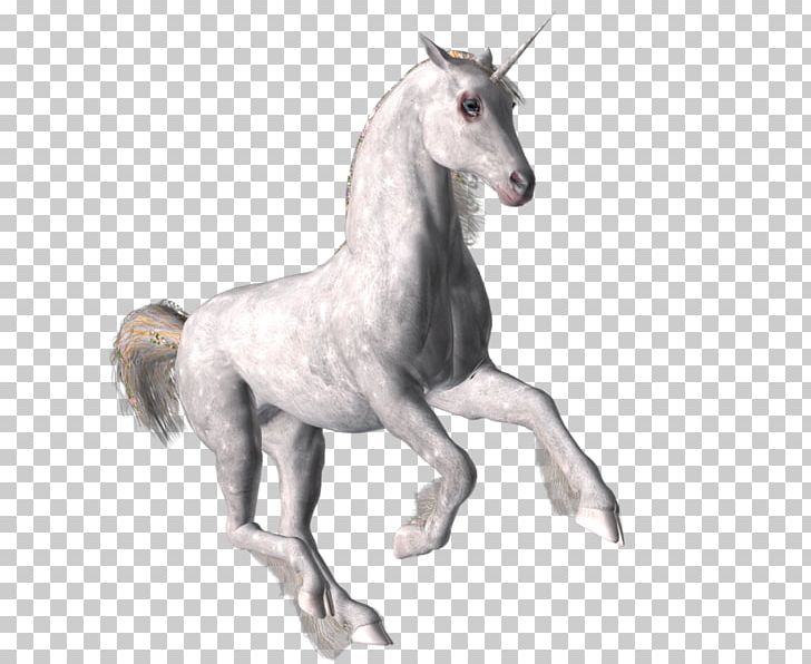 Mustang Stallion Pony Mane Foal PNG, Clipart, Animal, Animal Figure, At Resimleri, Beyaz At, Beyaz At Resimleri Free PNG Download
