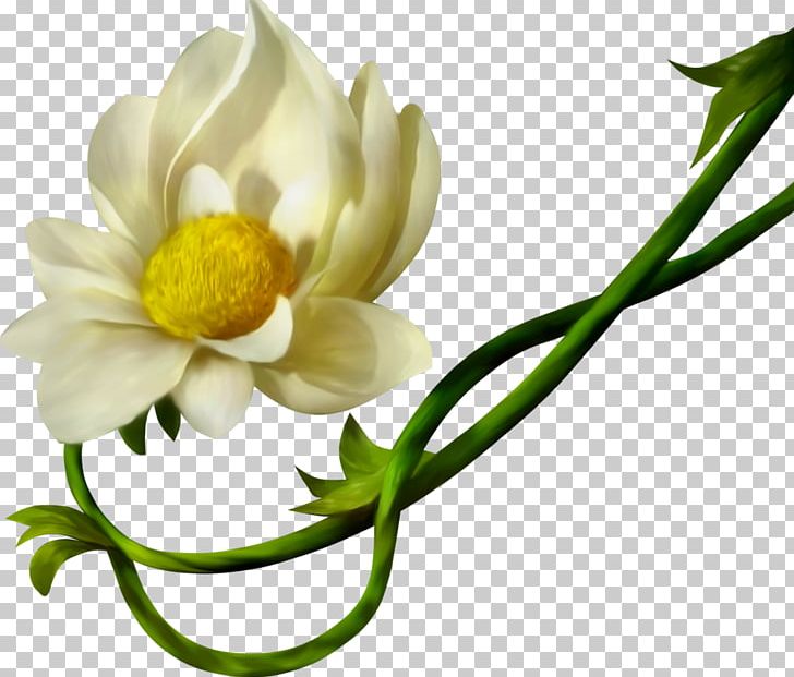 Petal Yellow Cut Flowers White PNG, Clipart, Color, Cut Flowers, Data, Data Compression, Floristry Free PNG Download
