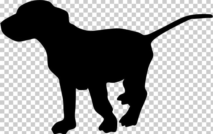 Labrador Retriever Puppy Dog Breed Sporting Group Leash PNG, Clipart, Animals, Black, Black And White, Breed, Carnivoran Free PNG Download