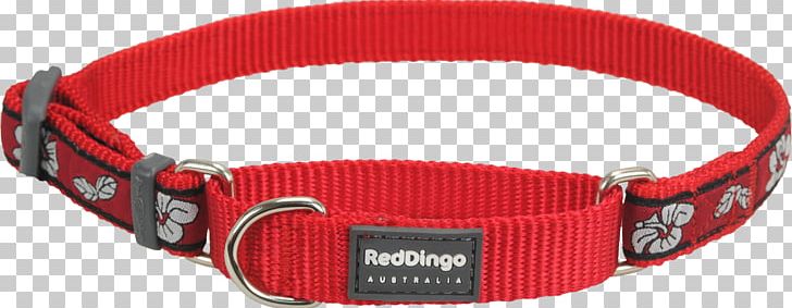 Belt Buckles Dog Collar Strap PNG, Clipart, Belt, Belt Buckle, Belt Buckles, Buckle, Collar Free PNG Download