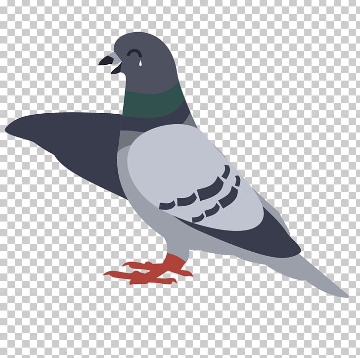 Pigeons And Doves PicsArt Photo Studio Archangel Pigeon PNG, Clipart, Beak, Bird, Collage, Fauna, Feather Free PNG Download