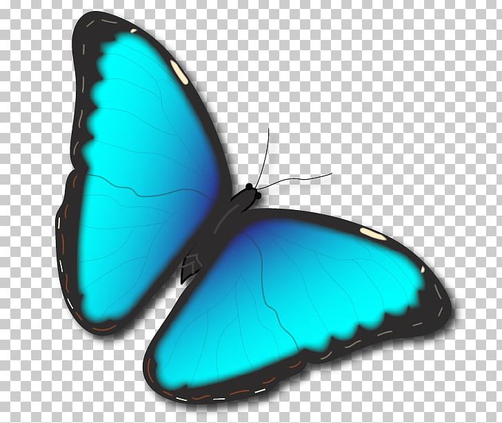 Product Design Turquoise M. Butterfly PNG, Clipart, Butterfly, Insect, Invertebrate, M Butterfly, Moths And Butterflies Free PNG Download