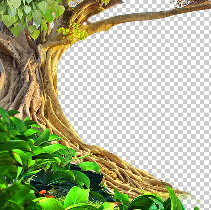 Tree Environmental Impact Assessment Environmental Protection Industry PNG, Clipart, Branch, Branches, Branches And Leaves, Business, Cosmetics Free PNG Download
