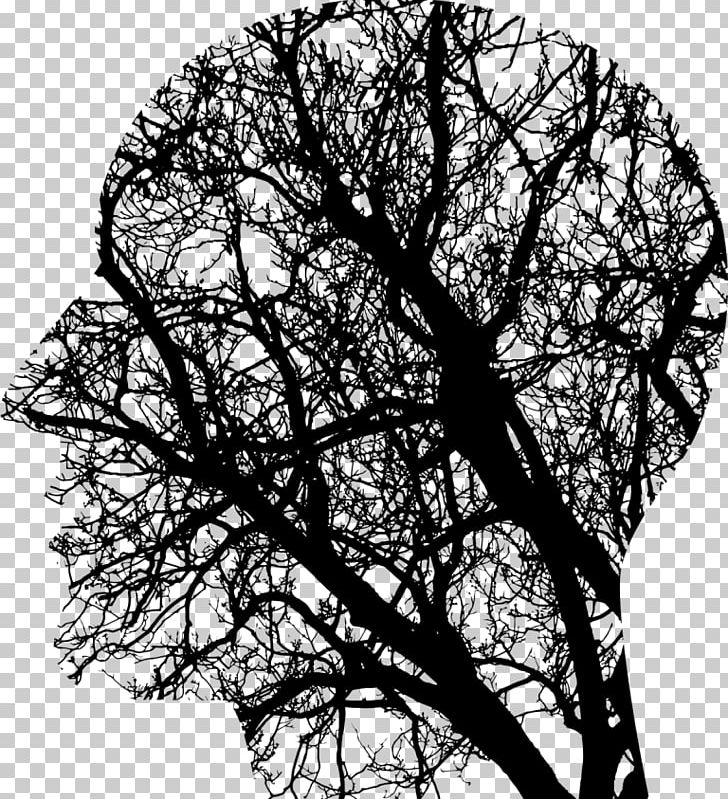 Human Brain Neurofeedback Transcranial Magnetic Stimulation Head PNG, Clipart, Anatomy, Branch, Head, Human Body, Human Brain Free PNG Download
