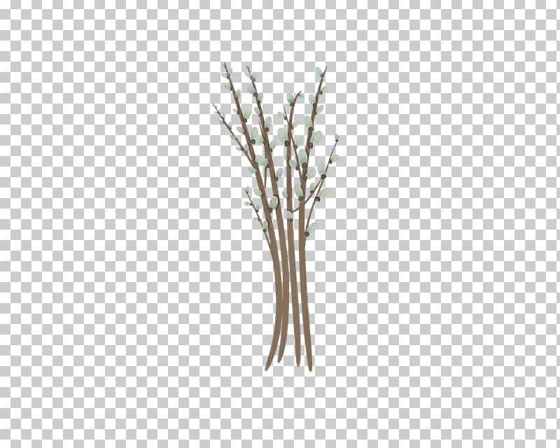 Twig Plant Stem Plants Biology Science PNG, Clipart, Biology, Plants, Plant Stem, Plant Structure, Science Free PNG Download