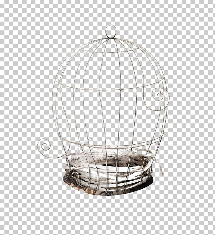 Cage PNG, Clipart, Barb, Barbed Wire, Bird, Birdcage, Bird Nest Free PNG Download