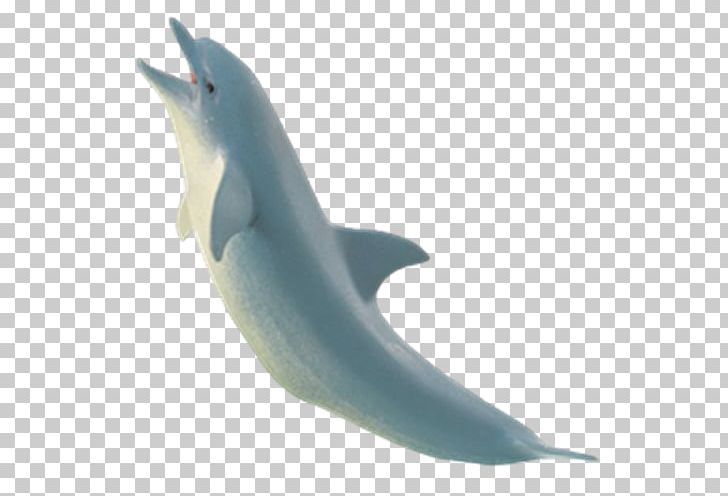 Common Bottlenose Dolphin Sea Animal Toy PNG, Clipart, Action Toy Figures, Animal, Animals, Aquatic Animal, Child Free PNG Download