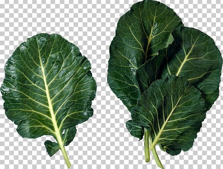 Cuisine Of The Southern United States Collard Greens Leaf Vegetable Cooking PNG, Clipart, Brassica Juncea, Cabbage, Cauliflower, Chard, Collard Greens Free PNG Download