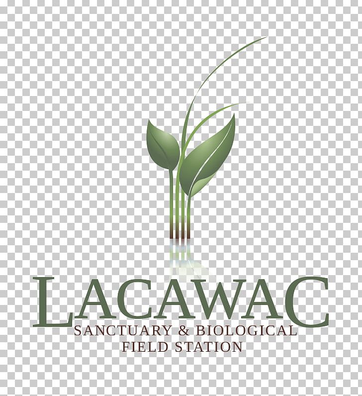 Lacawac Sanctuary Non-profit Organisation Hawley Management Organization PNG, Clipart, Brand, Business, Education, Estate Planning, Grass Free PNG Download