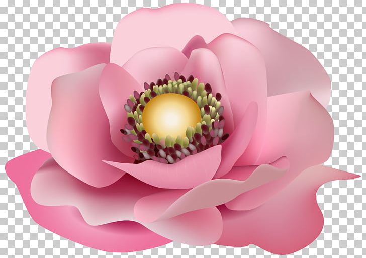 Pink Flowers PNG, Clipart, Bud, Clip Art, Clipart, Computer Wallpaper, Desktop Wallpaper Free PNG Download